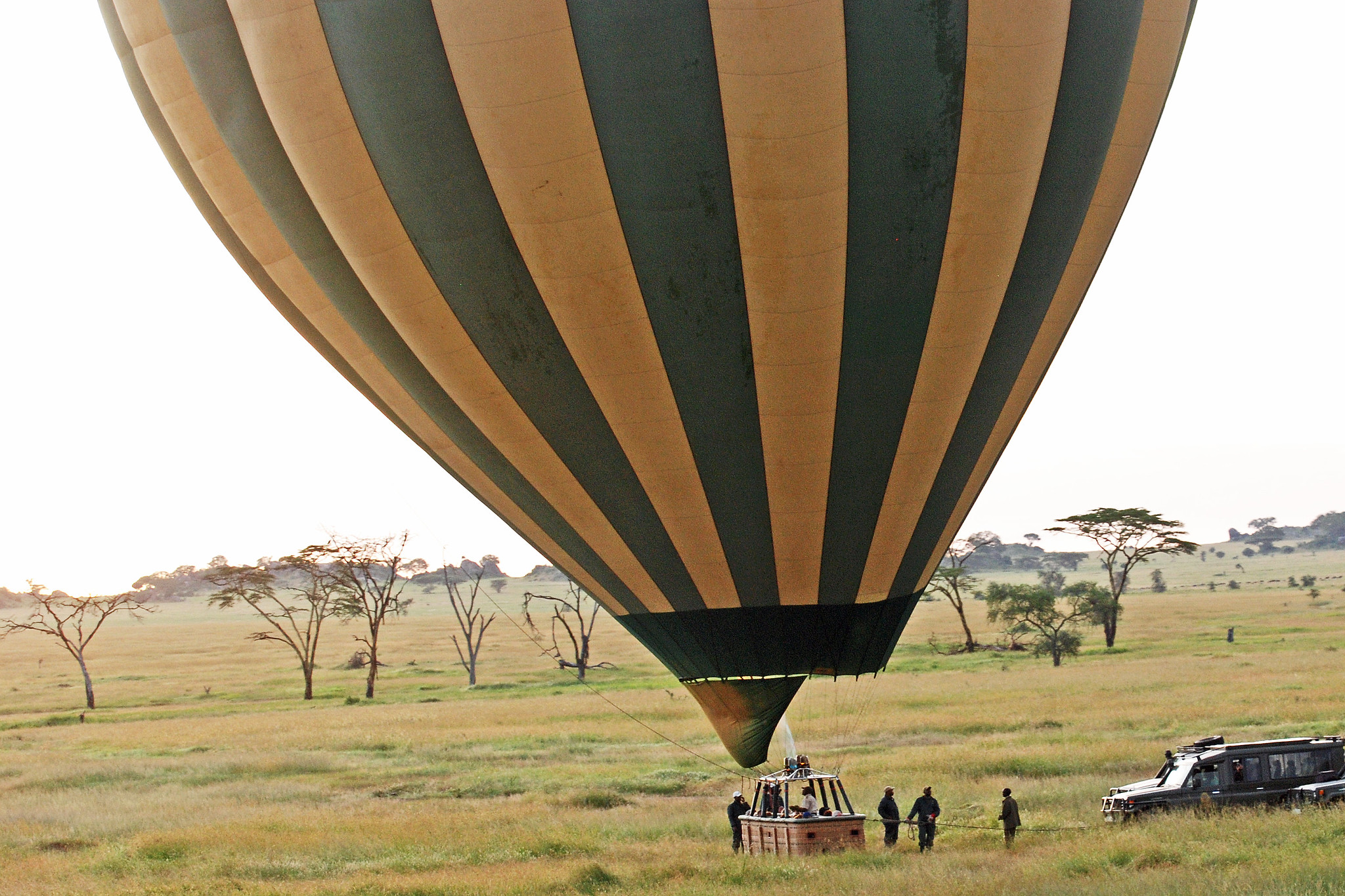 Wildlife from balloon